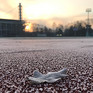Winterliche Impression im Leichtathletikstadion