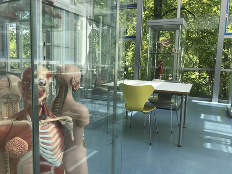 Führungen durch die Bibliothek
