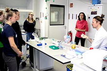 Praktikum