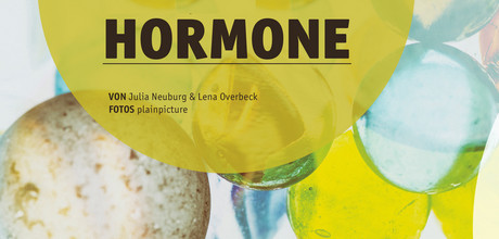 Die Macht der Hormone
